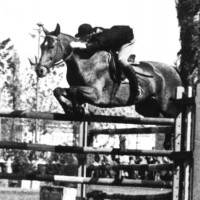 /album/kepgaleria-halasz-judit-szenvedelyes-lovas-volt/halasz-judit1-jpg2/